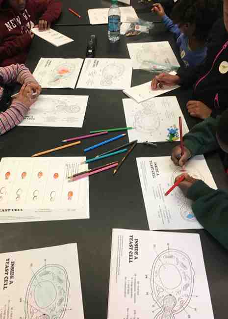 Children's activities included coloring in yeast drawings.