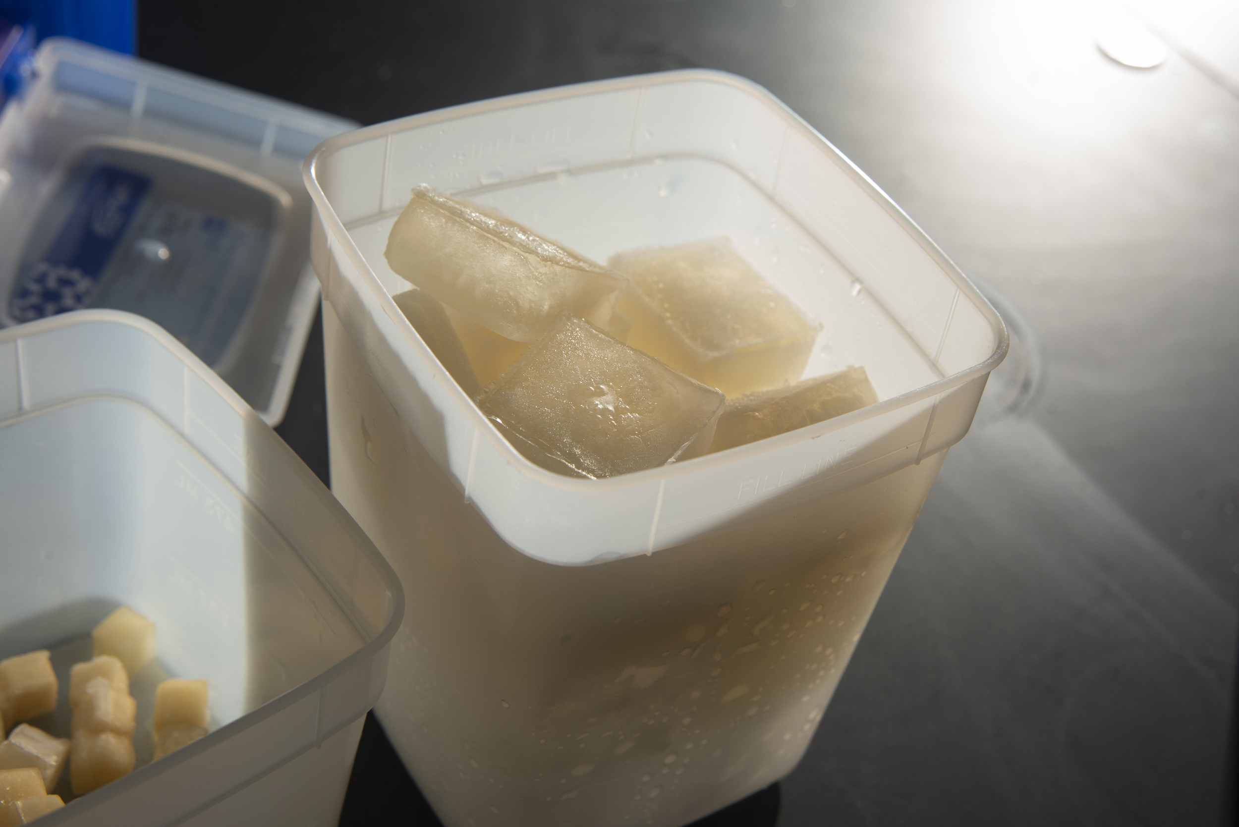 jelly ice in square container