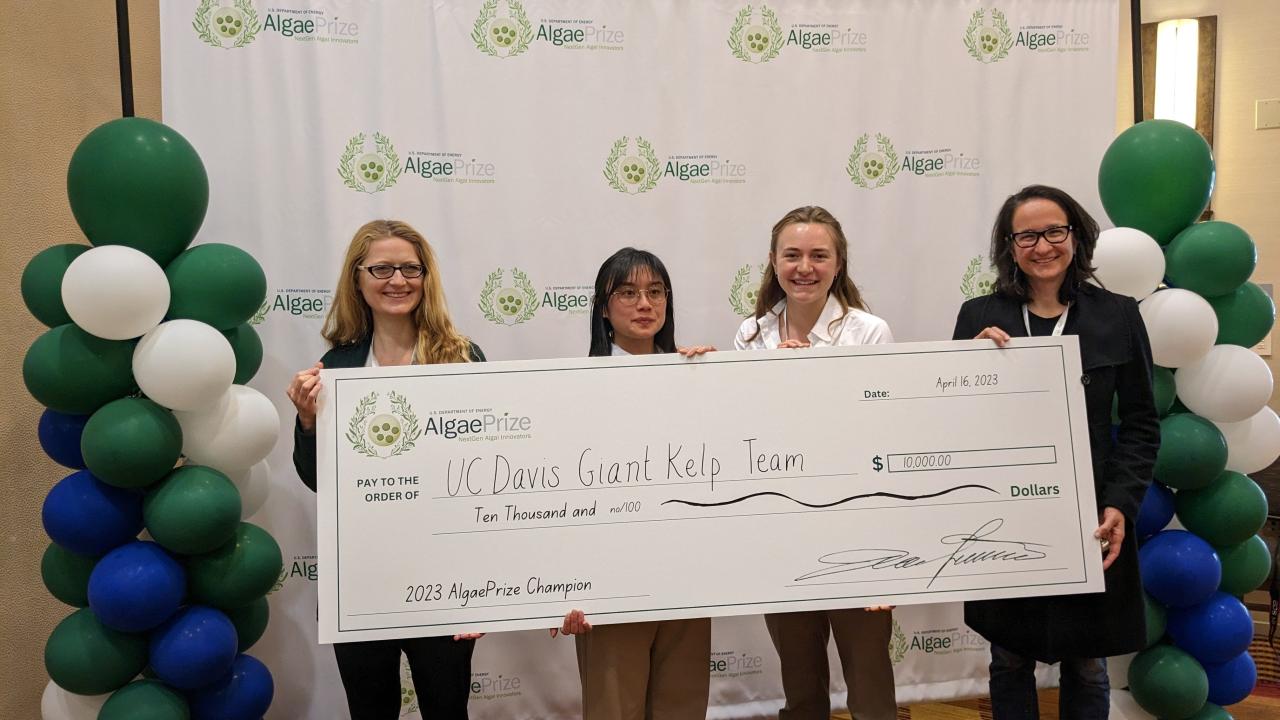UC Davis Giant Kelp Team