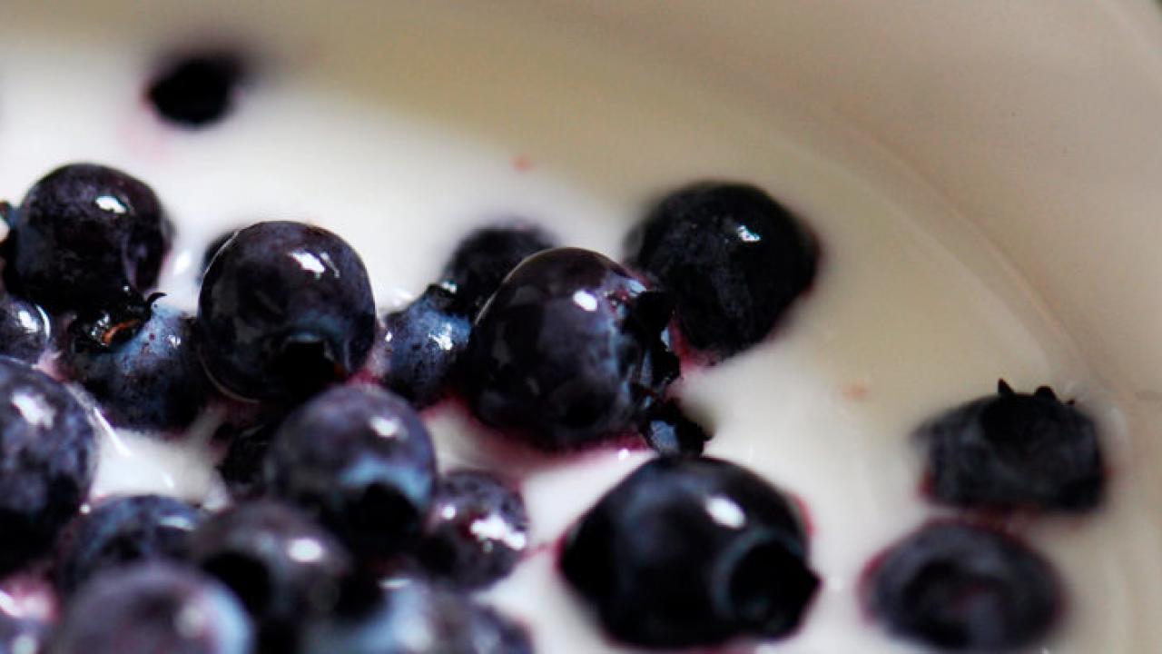 blueberries yogurt