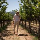 Beth Novak Milliken, Spottswoode Estate Vineyard president and CEO, walks through the vineyards in California. (Photo: Martin E. Klimek, USA TODAY)