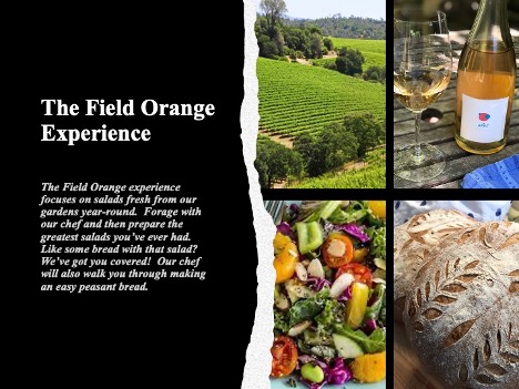 Field Orange Experience