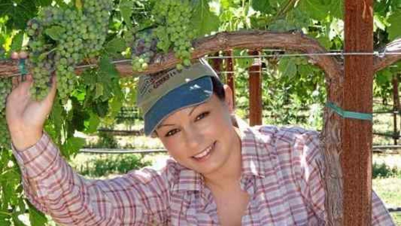 Cindy Preto is seen working in a UC Davis vineyard. 