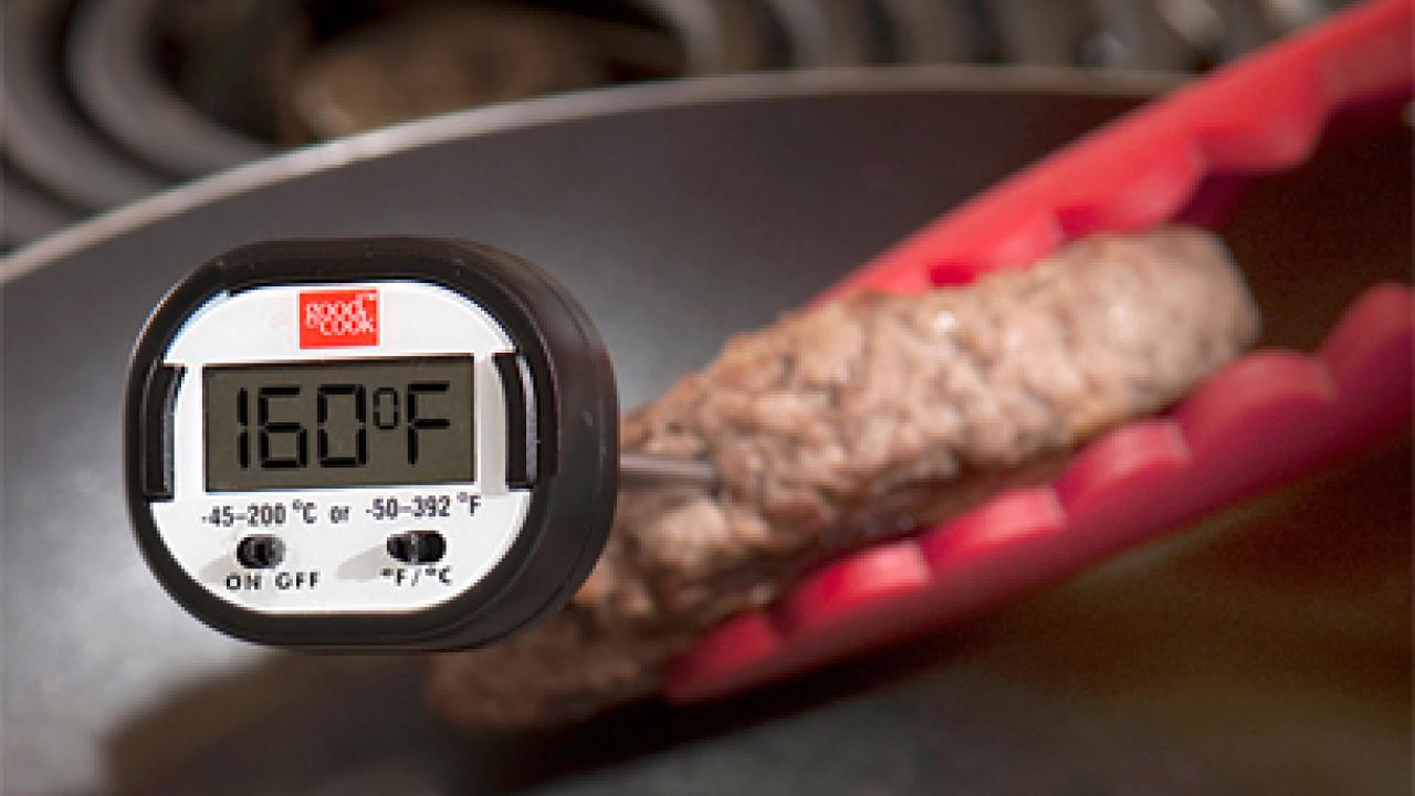 Most Consumers Don't Use Food Thermometers Despite Importance to Food  Safety