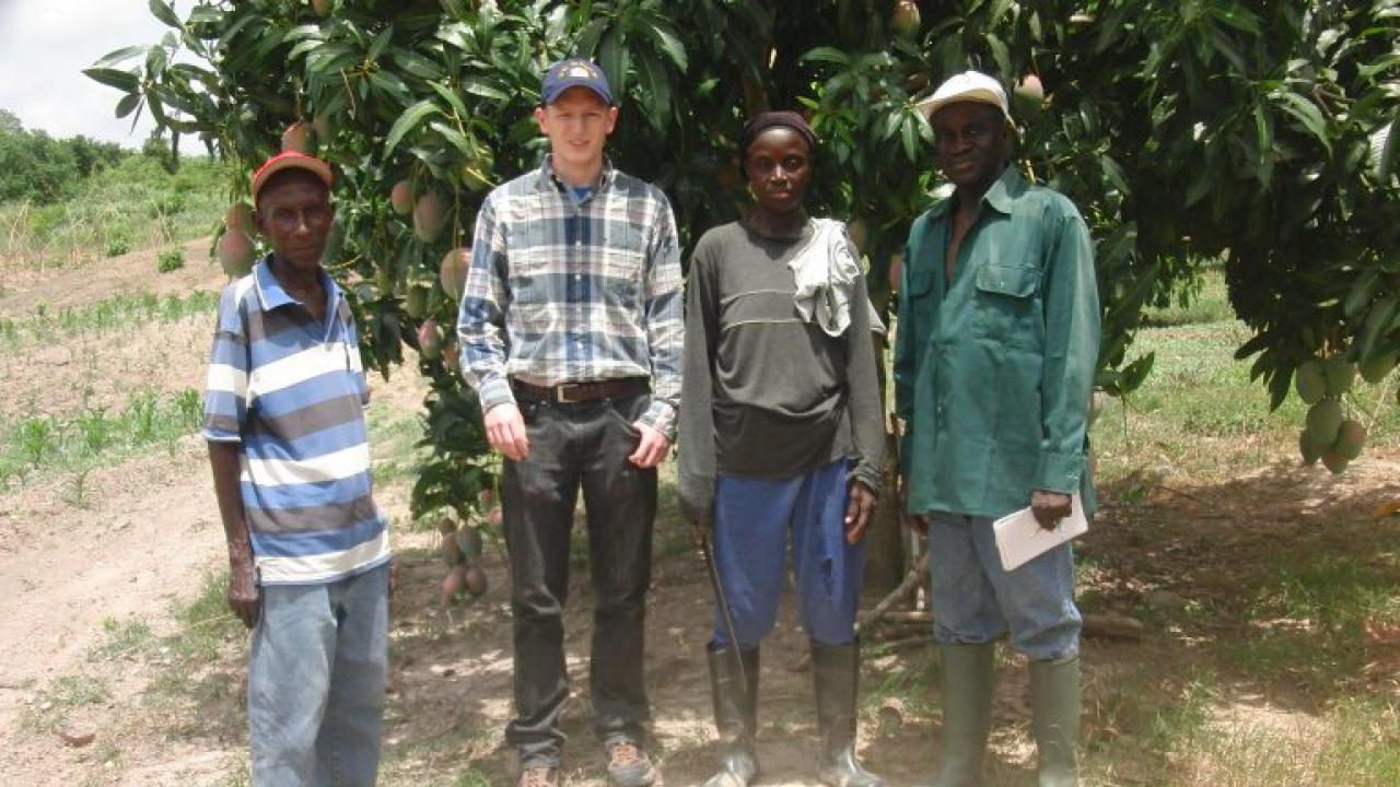 Nick Reitz of UC Davis, second from left, visits with mango farmers in Ghana before leading workshops on postharvest handling.