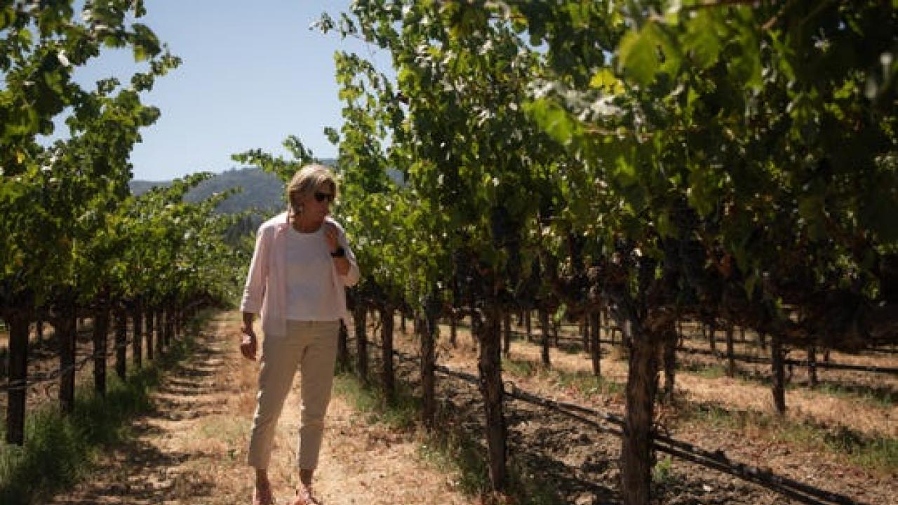 Beth Novak Milliken, Spottswoode Estate Vineyard president and CEO, walks through the vineyards in California. (Photo: Martin E. Klimek, USA TODAY)