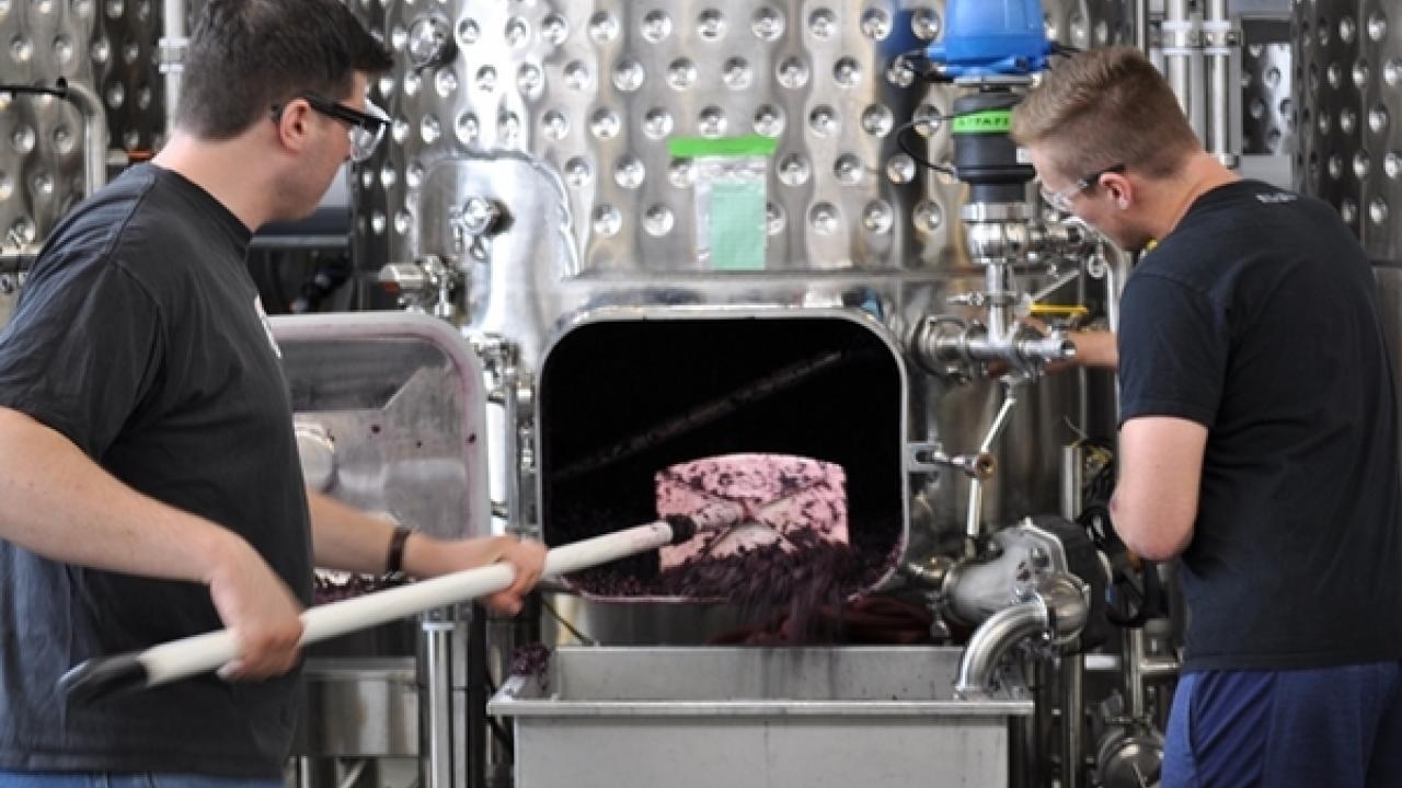 Students remove skins from a tank.