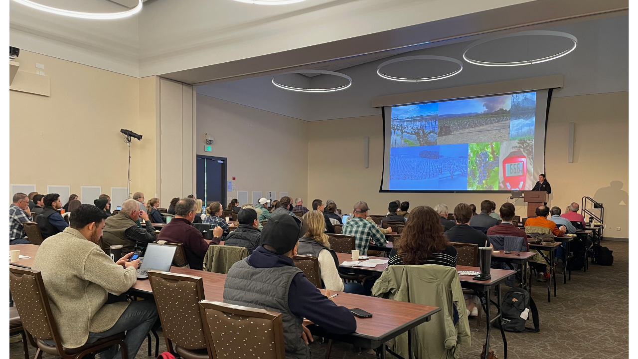 People listening to a lecture.