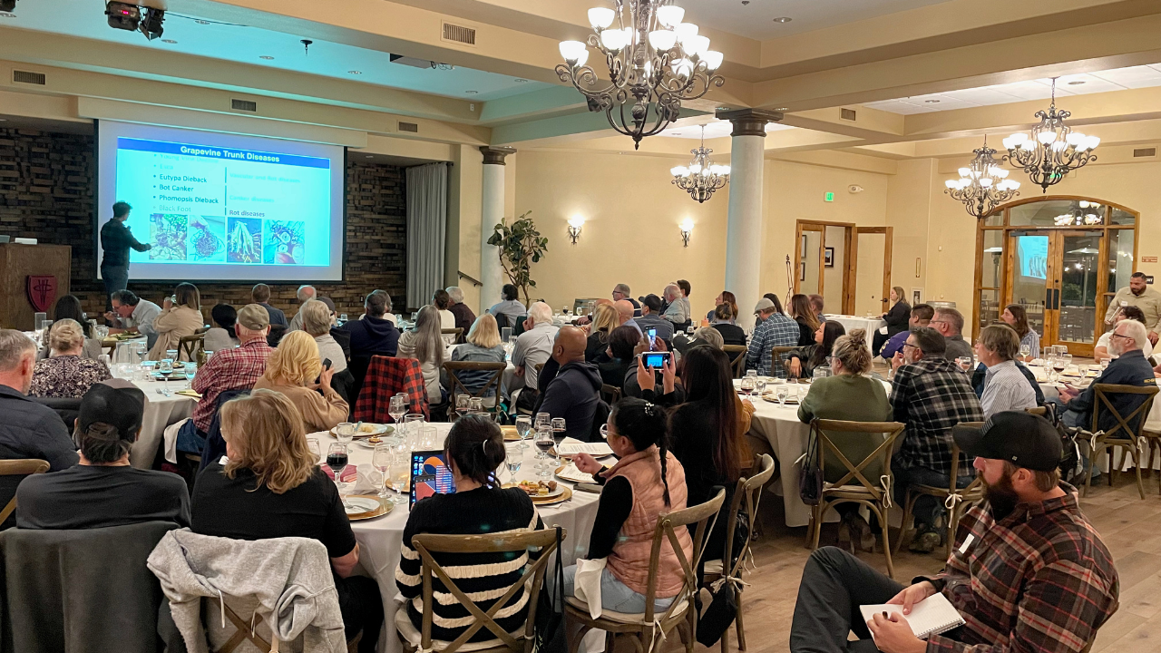 Attendees at On the Road in Temecula