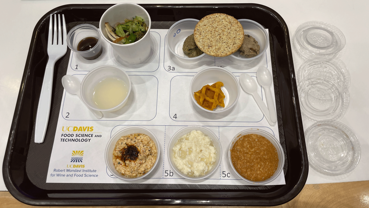 Tray filled with sample food items in small plastic cups