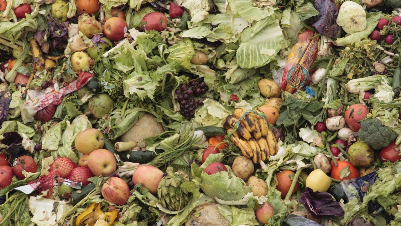 food waste image