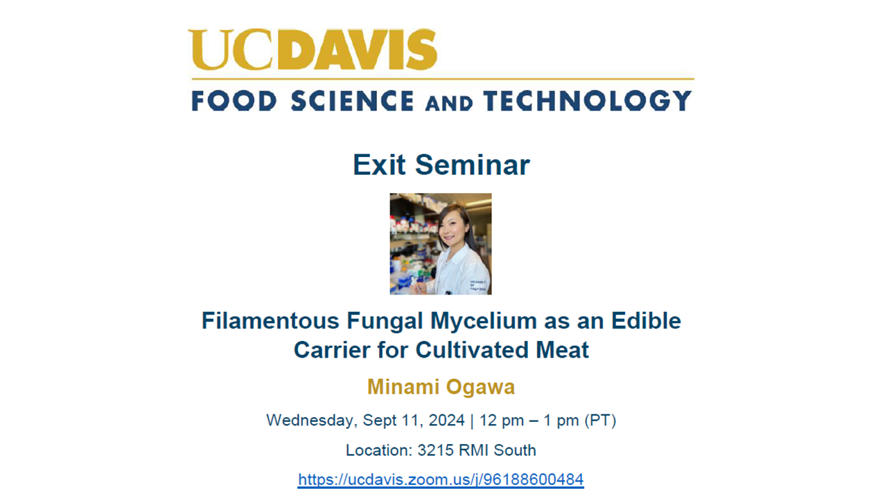 Exit seminar announcement text for Minami Ogawa, Sept. 11, 2024