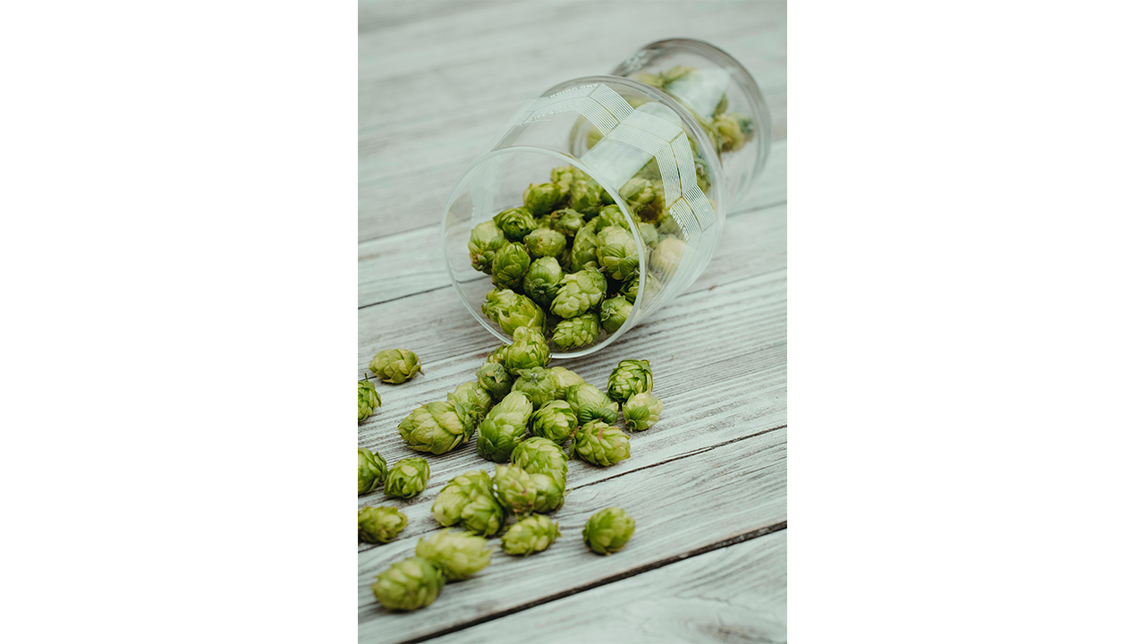 Hops spill out of a beer glass laying on its side on a table
