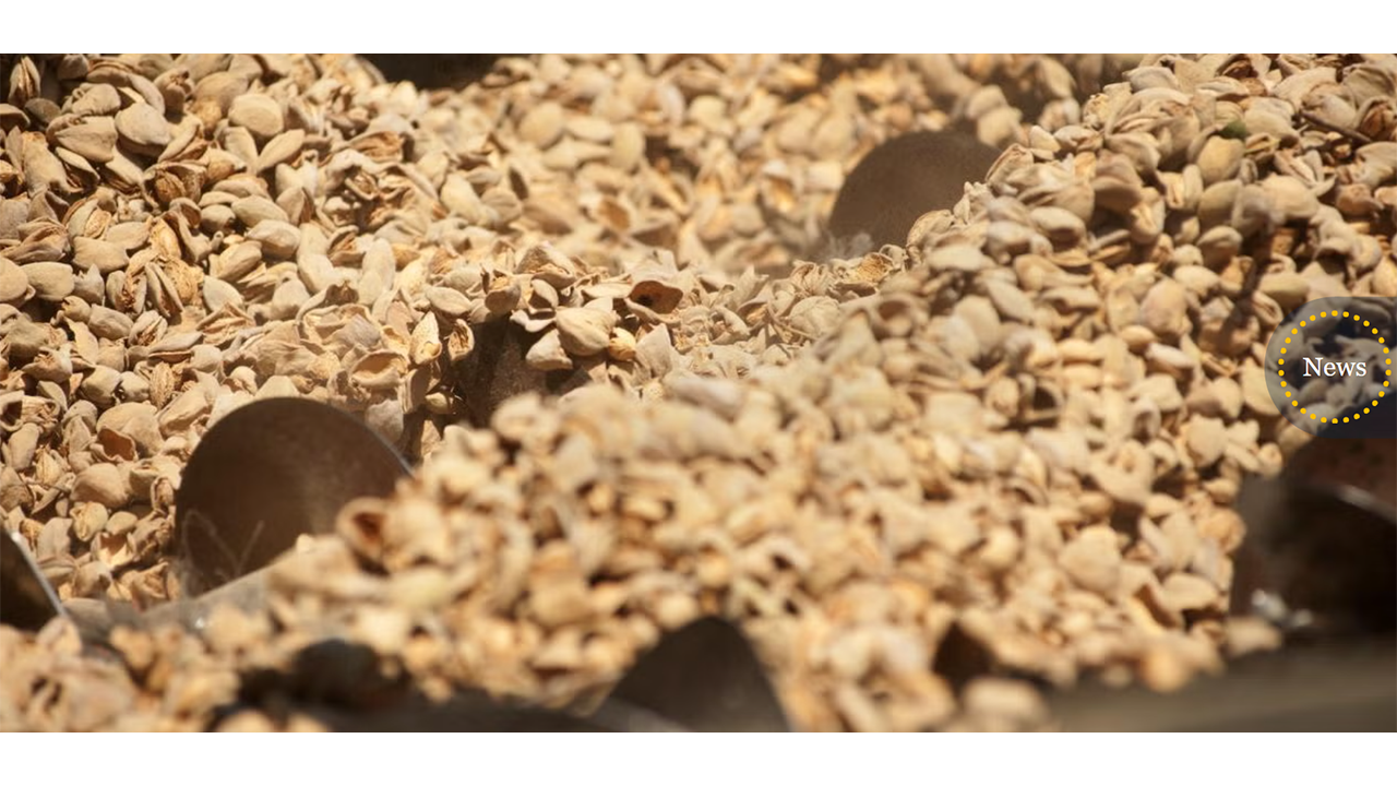 UC Davis researchers developed an online tool that tracks agricultural leftovers to help reduce food waste and inspire new uses. (Gregory Urquiaga/UC Davis)