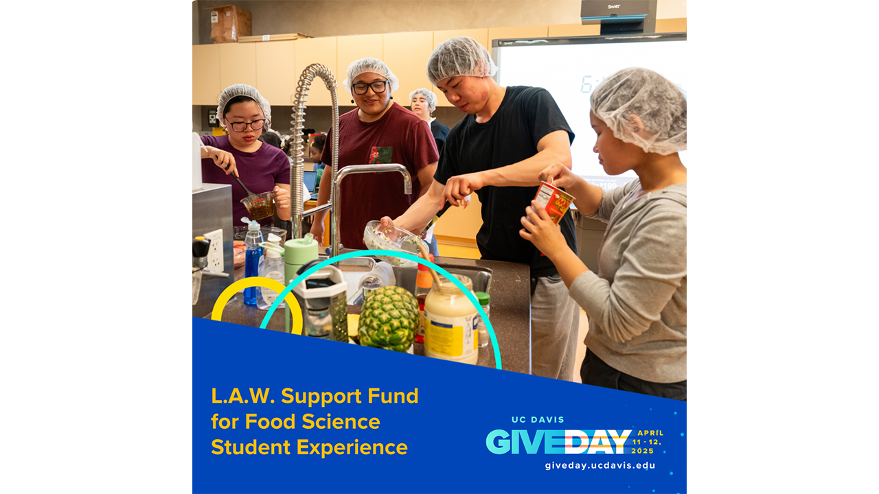 four FST students work in the Food Innovation Lab space