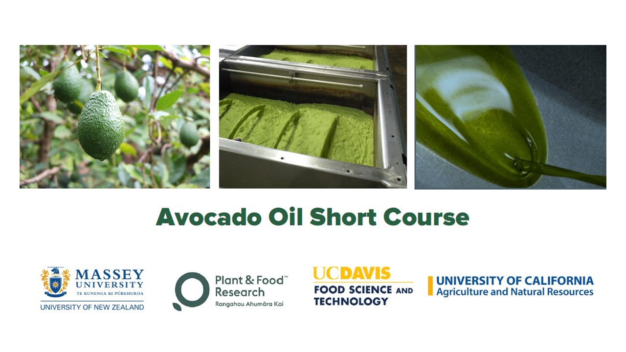 Header image for Avocado Oil course