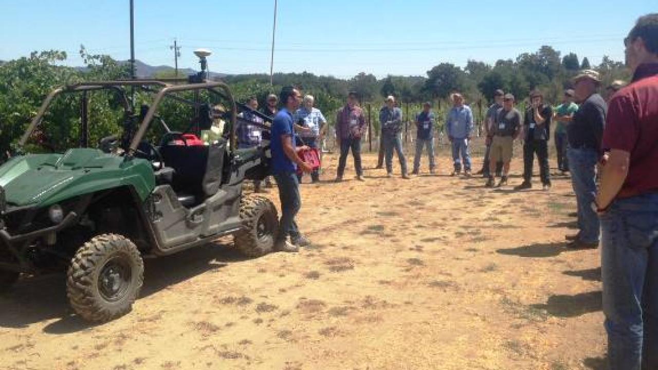 Attendees gathered in the Experimental Vineyards for a tour.