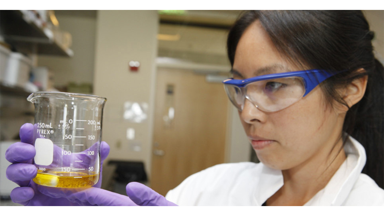 Dr. Selina Wang eyes a beaker of oil in her laboratory.