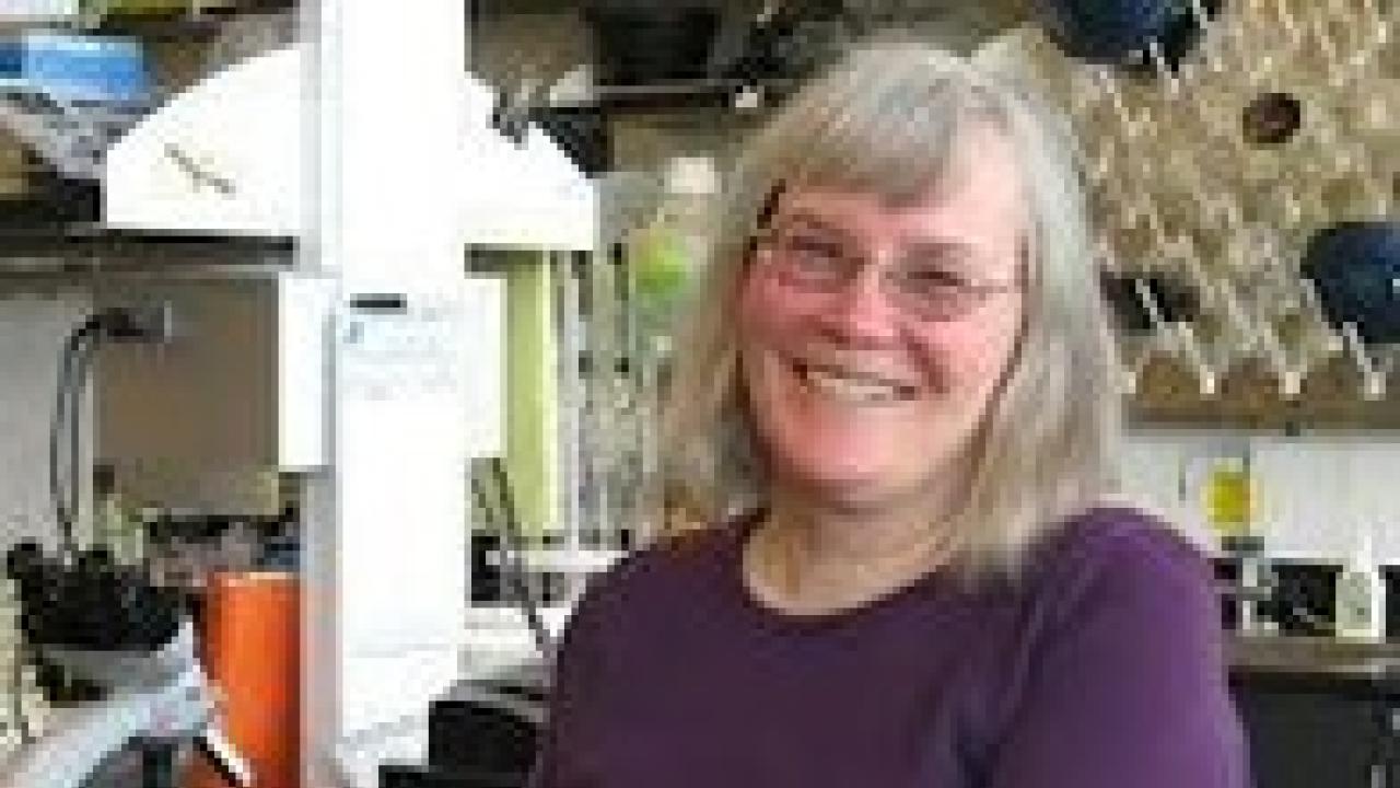 Linda Bisson
