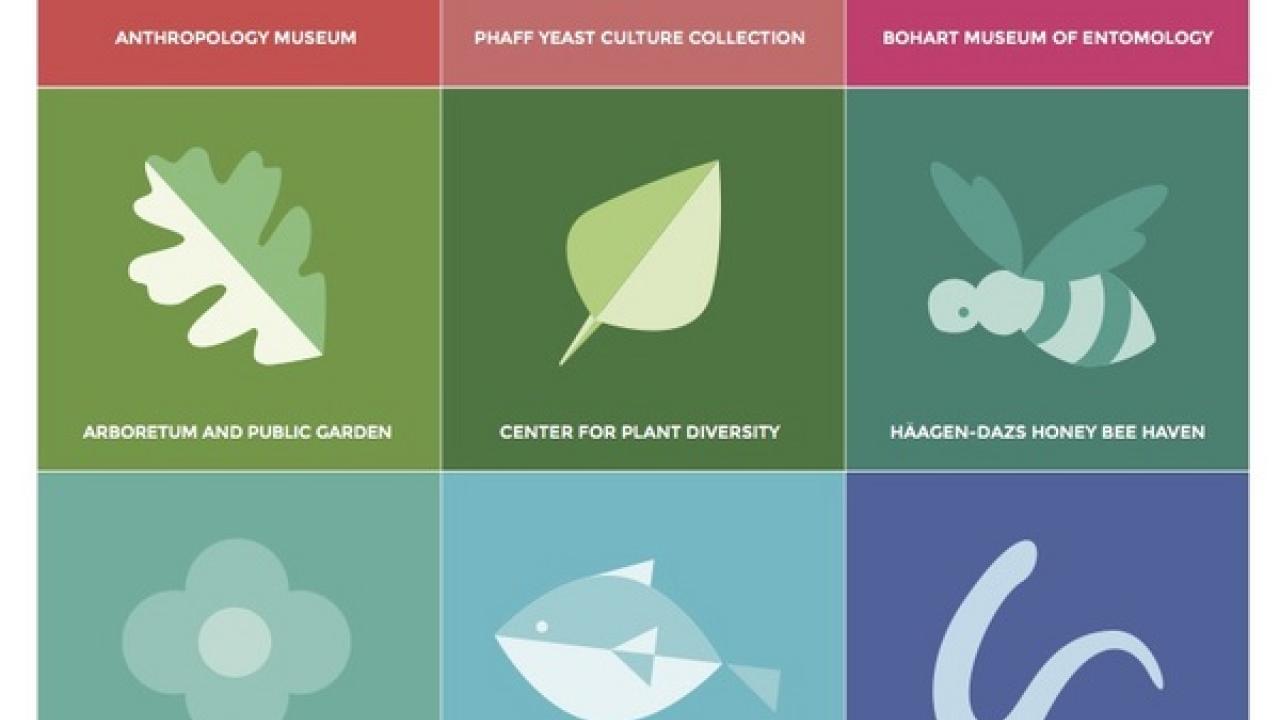 BFTV Cluster News UC Davis Biodiversity Museum Day Feb 13