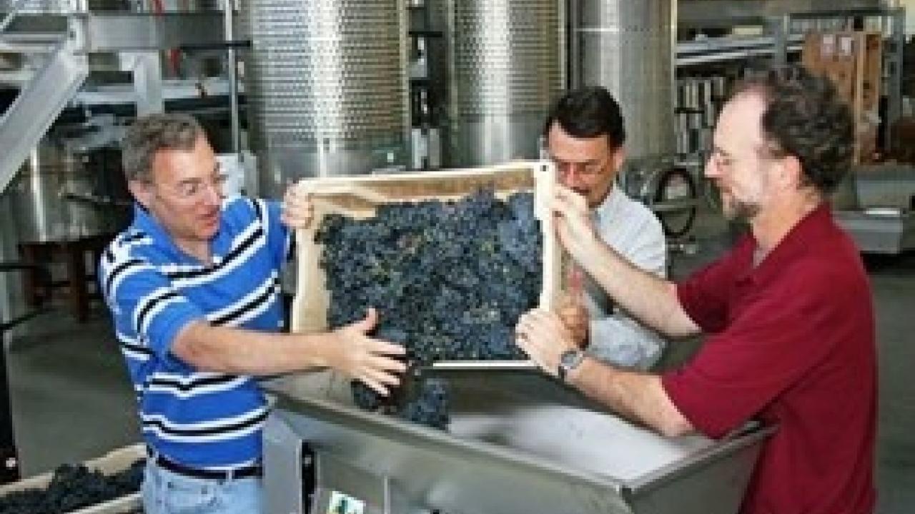 Viticulture and enology professors, from left, David Block, Roger Boulton, and Andy Waterhouse in the Teaching and Research Winery at UC Davis. (photo: John Stumbos/UC Davis)