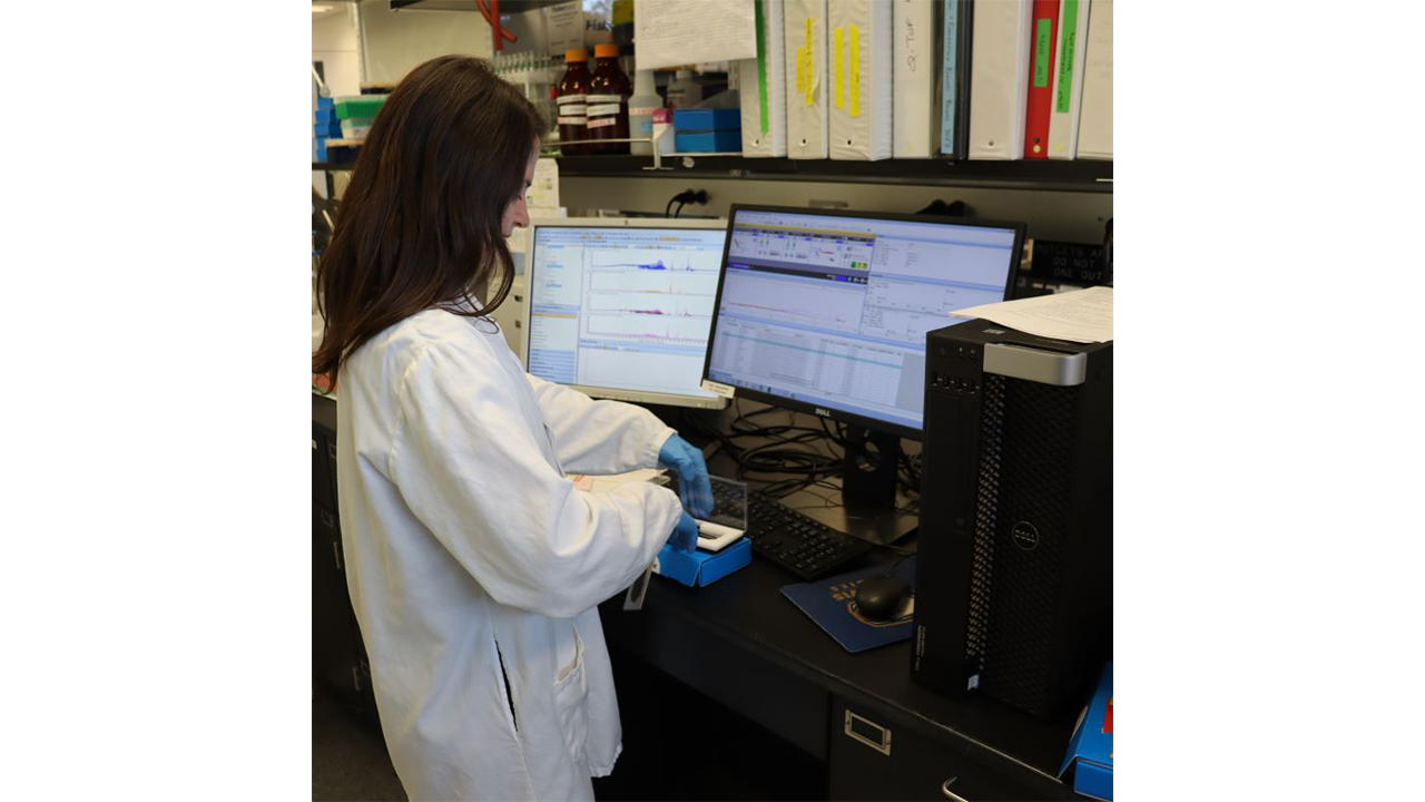 Graduate student Bruna Paviani operating a mass spectrometer in the Barile lab to study the composition of upcycled Chardonnay grapes. Graduate student Bruna Paviani operating a mass spectrometer in the Barile Lab to study the composition of upcycled Chardonnay grapes