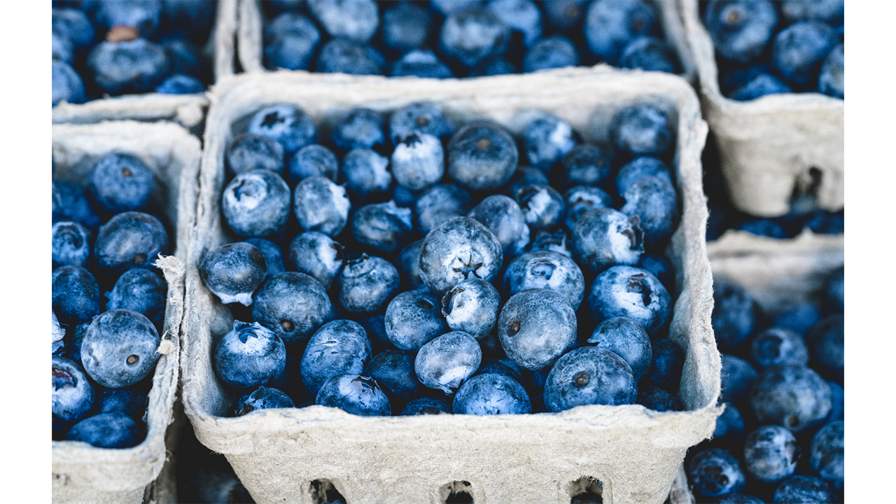 fresh blueberries in pint boxes