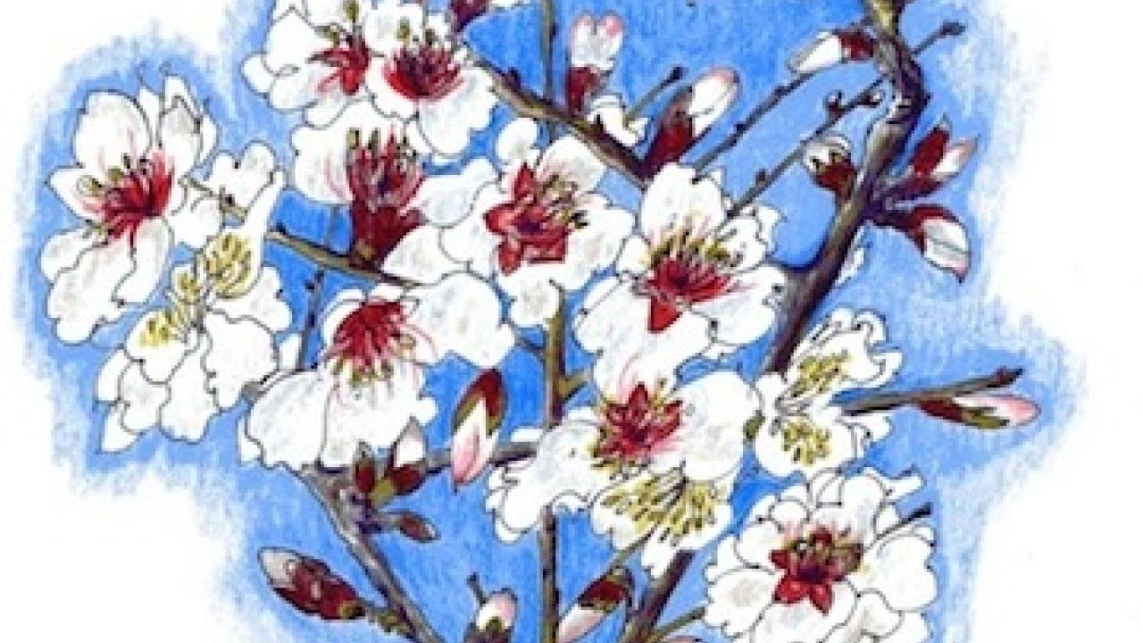 Winter flowers
