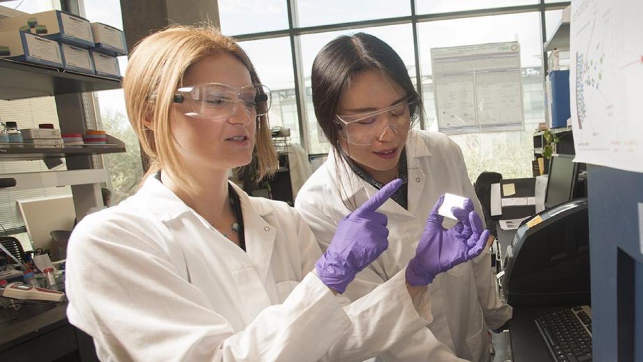 Daniela Barile and graduate student Tian Tian study milk sugar compounds