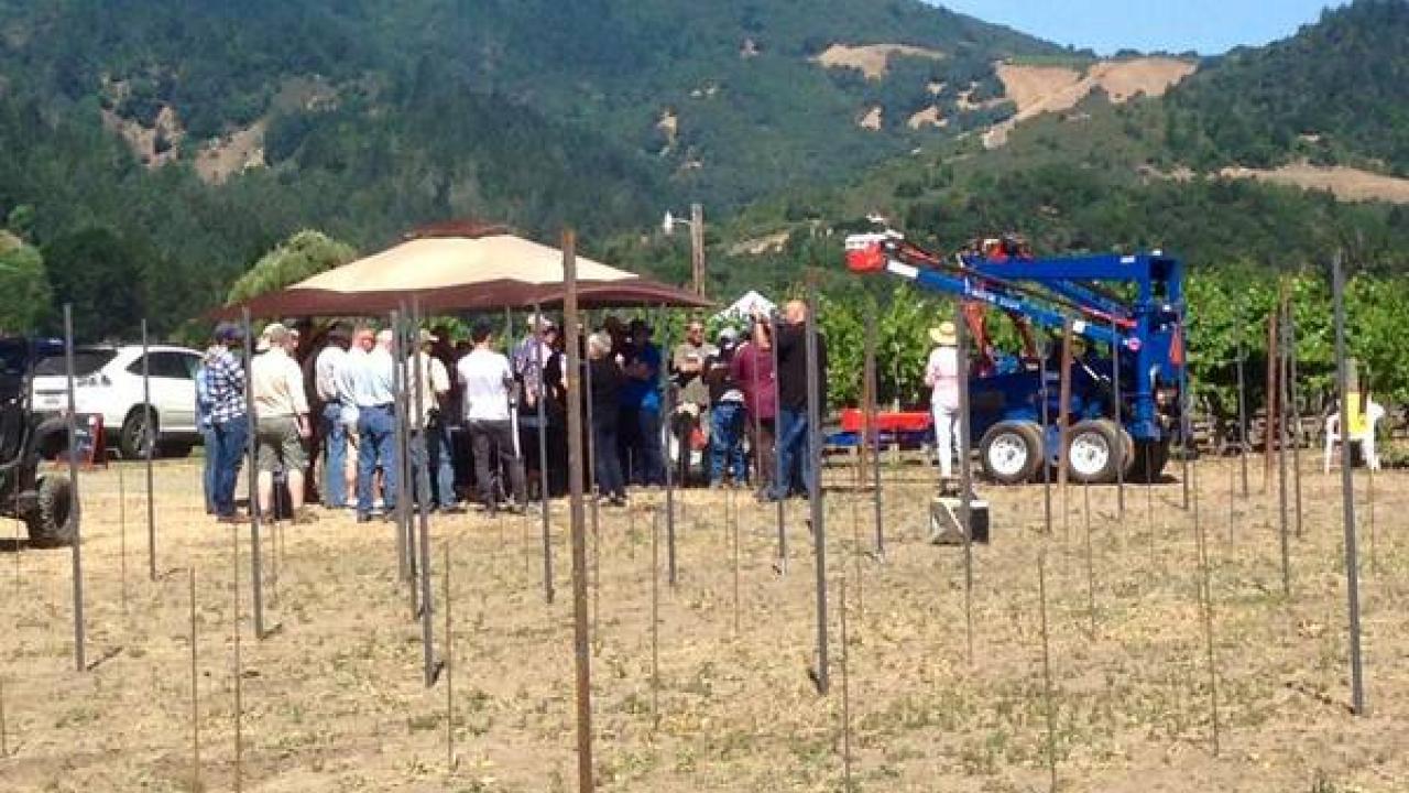 Chris Peterson of Midwest Vineyard Manufacturing Supply displaying the VMECH vineyard mechanization suite to interested growers at Oakville Experimental Vineyard. Chris Peterson of Midwest Vineyard Manufacturing Supply displaying the VMECH vineyard mechanization suite to interested growers at Oakville Experimental Vineyard.