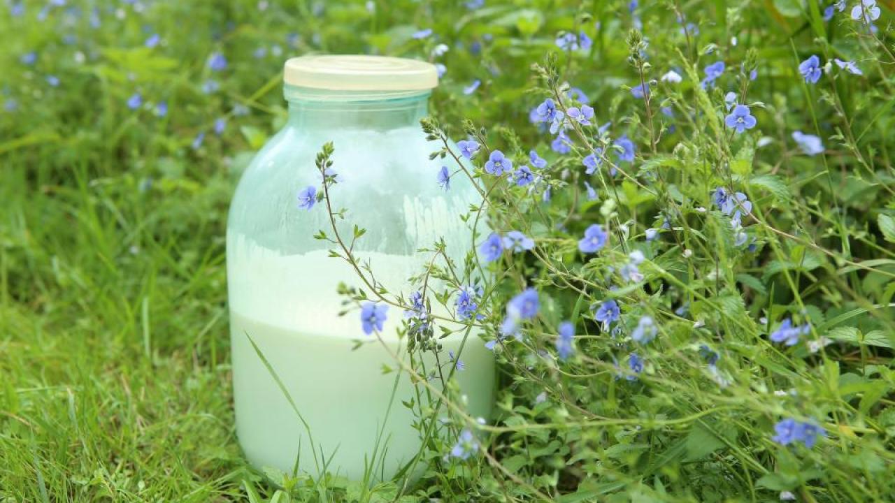 raw milk image