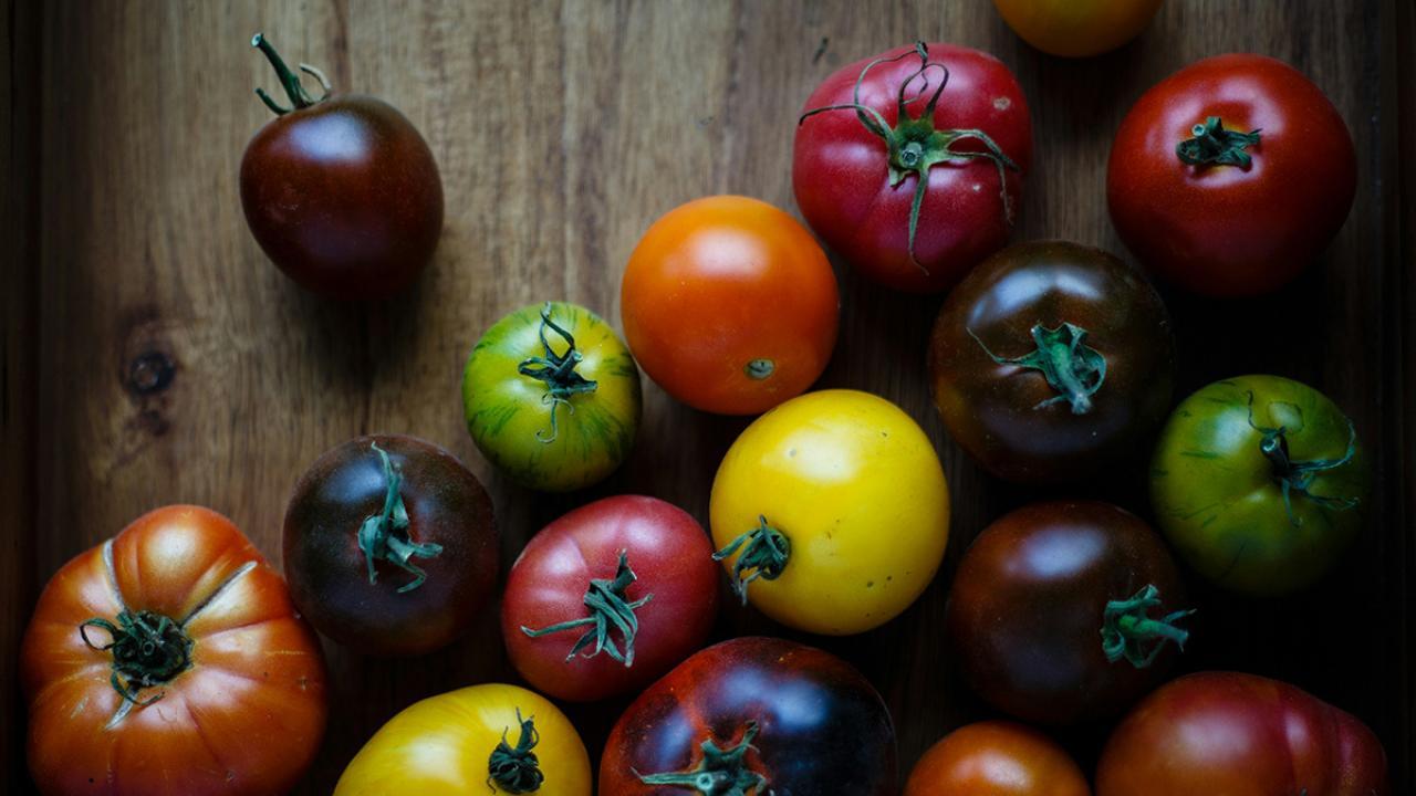 (Photo by Vince Lee on Unsplash) Many tomatoes of varying colors on a table