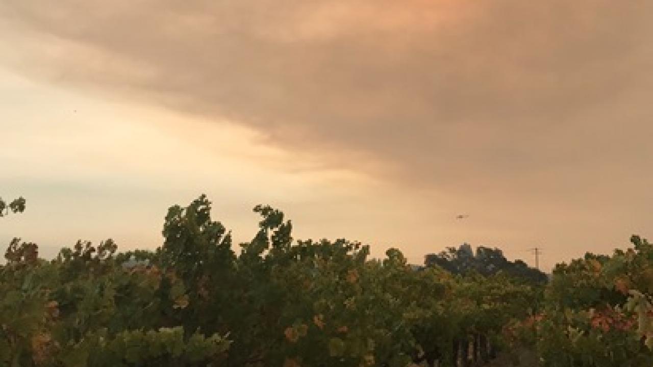 Smoke in Napa Valley