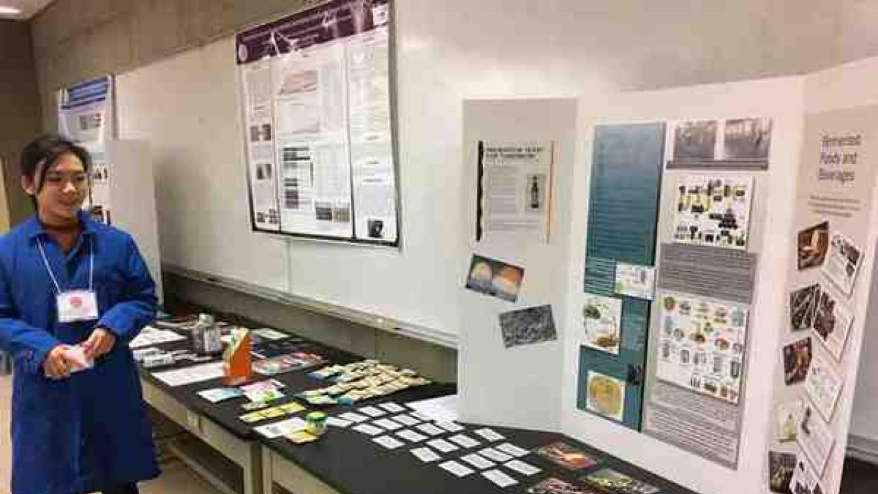 Posters and hands on activities helped the public learn about yeast.
