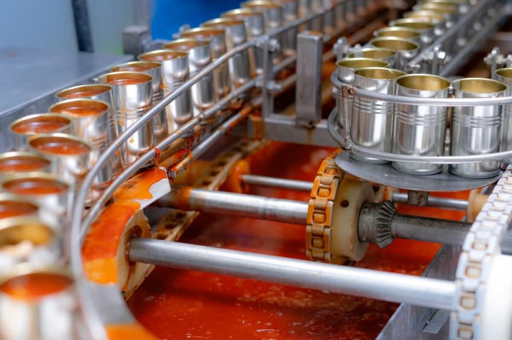 cans of sardines in tomato sauce move along a conveyor belt in a packing plant.