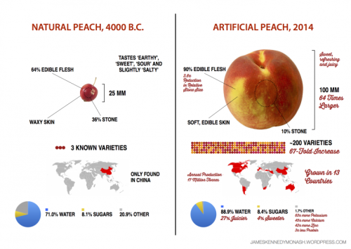 peach diagram