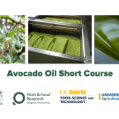 Header image for Avocado Oil course