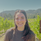 Woman smiling in front of a vineyard with hills in the background