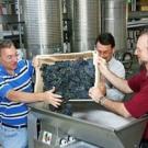 Viticulture and enology professors, from left, David Block, Roger Boulton, and Andy Waterhouse in the Teaching and Research Winery at UC Davis. (photo: John Stumbos/UC Davis)