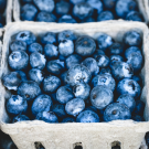 fresh blueberries in pint boxes