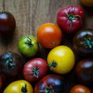 Many tomatoes of varying colors on a table 